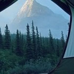 Meet your Posher, Alexandria